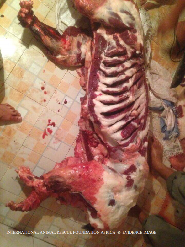 One of the tigers is then skinned, de-clawed, beheaded, and processed. All of which is illegal.