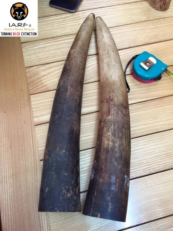 IARFdonotremoveforsale1