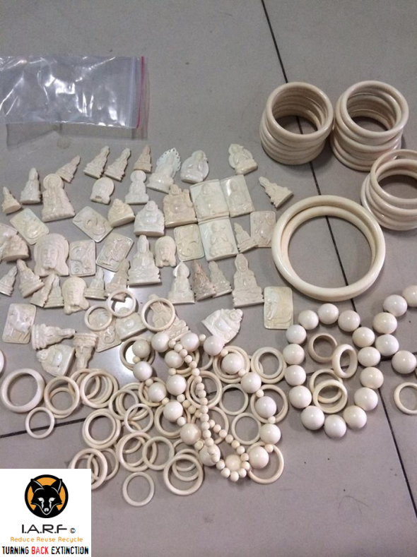 iarfivorytradefacebook1