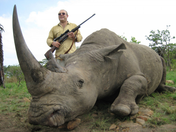 alexander-tseytlin-white-rhino-4